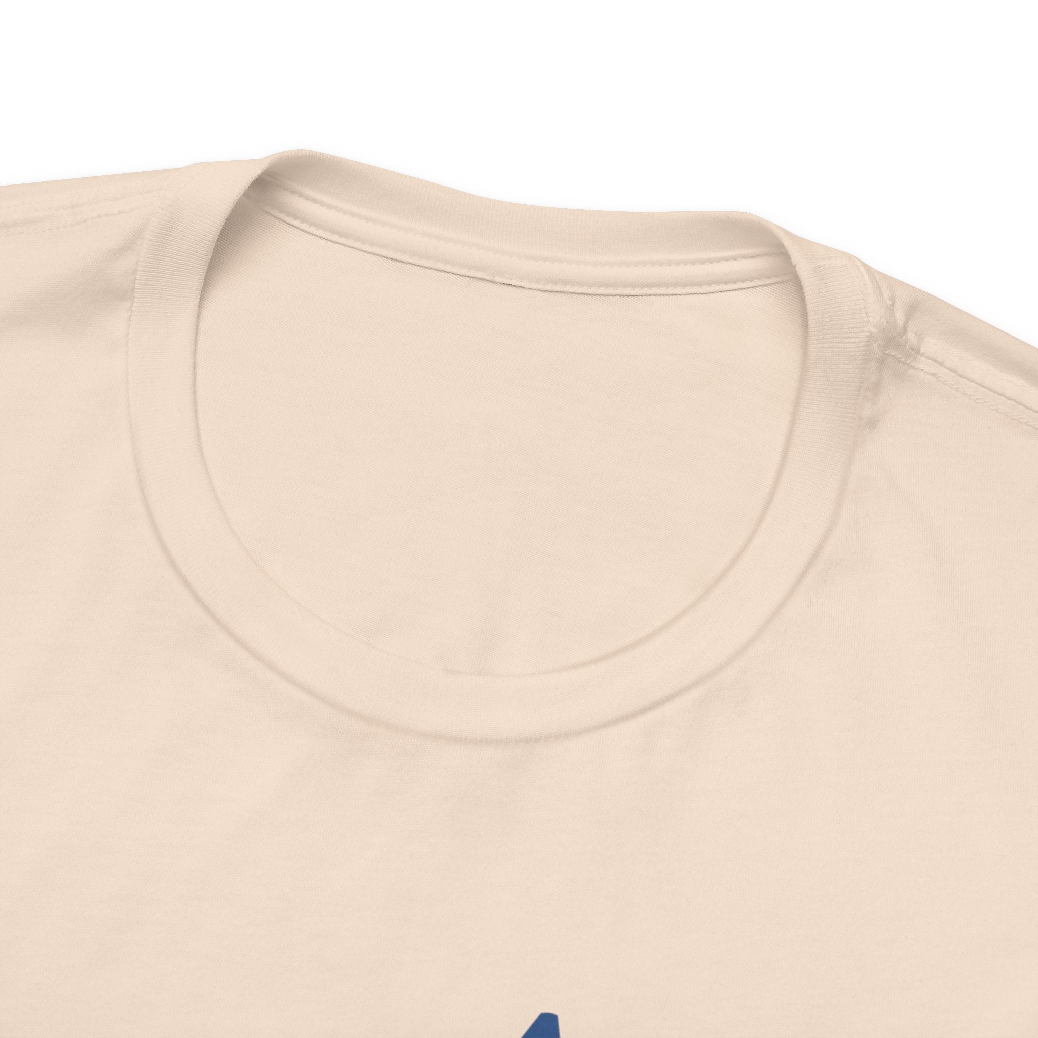 Patriotic T-Shirt, Independence Day Tee, American Dream Shirt, 4th of July Outfit, Stars and Stripes Tee Shirt