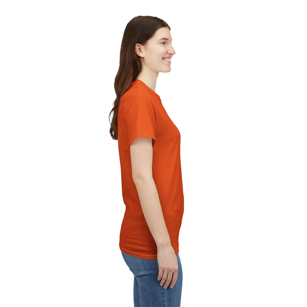 American Pride Unisex Tee, Patriotic Graphic Shirt, United We Stand Shirt, Freedom Tee, Casual Everyday Wear, Gift for Veterans